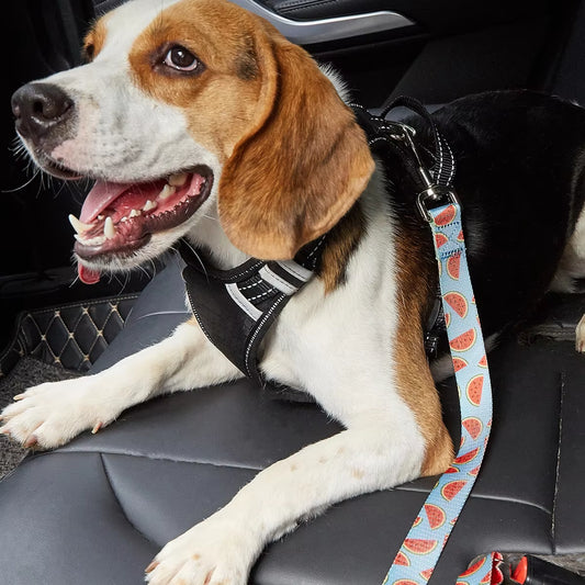Pet Dog Seat Belt with Harness Vest Adjustable Safety Leash Exquisite Printing Multi Colors Car Harness for Fashion Dog Leash