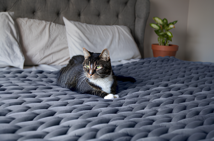 Handgestrickte Kuscheldecke – Der Lieblingsplatz für Katzen