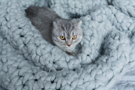 Handgestrickte Kuscheldecke – Der Lieblingsplatz für Katzen